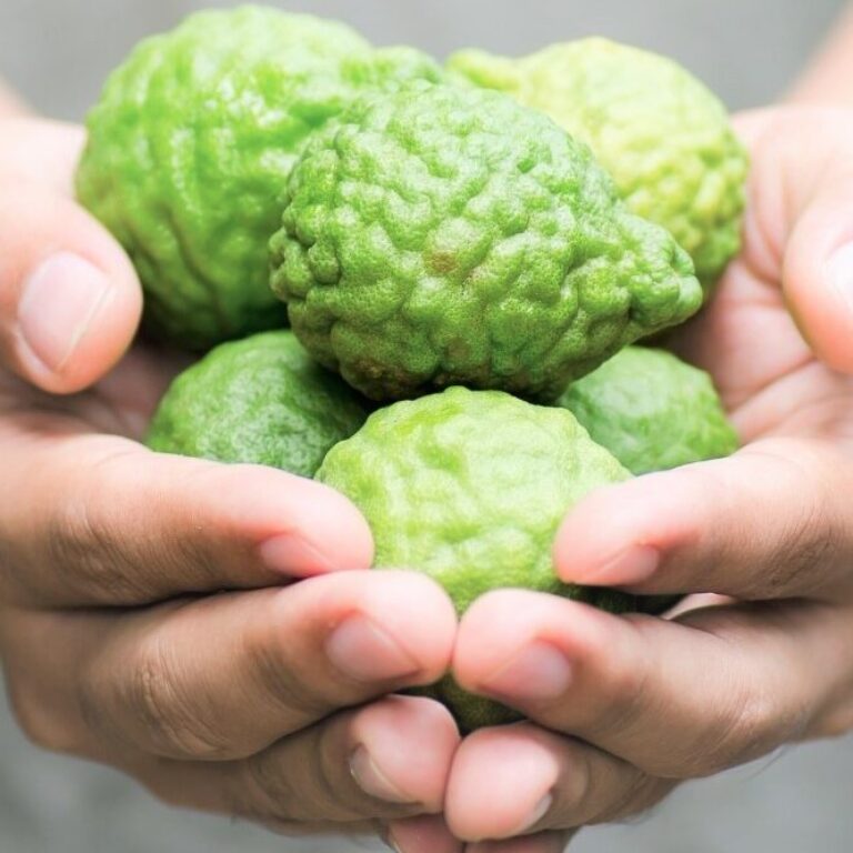 Using bergamot essential oils in handmade soap