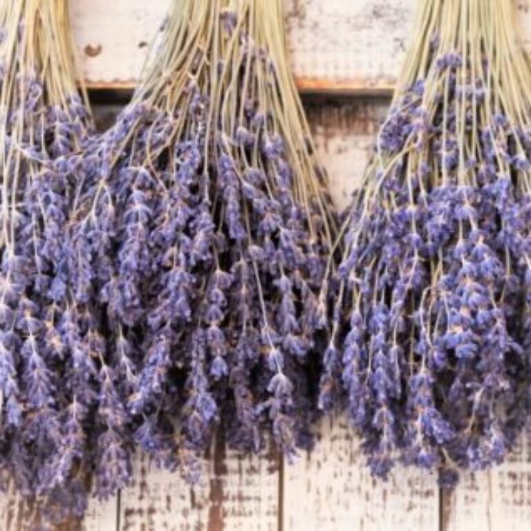 dried lavender in handmade soap