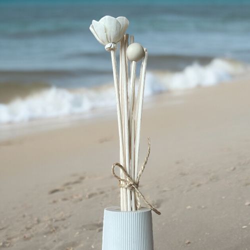 Reed Diffusers